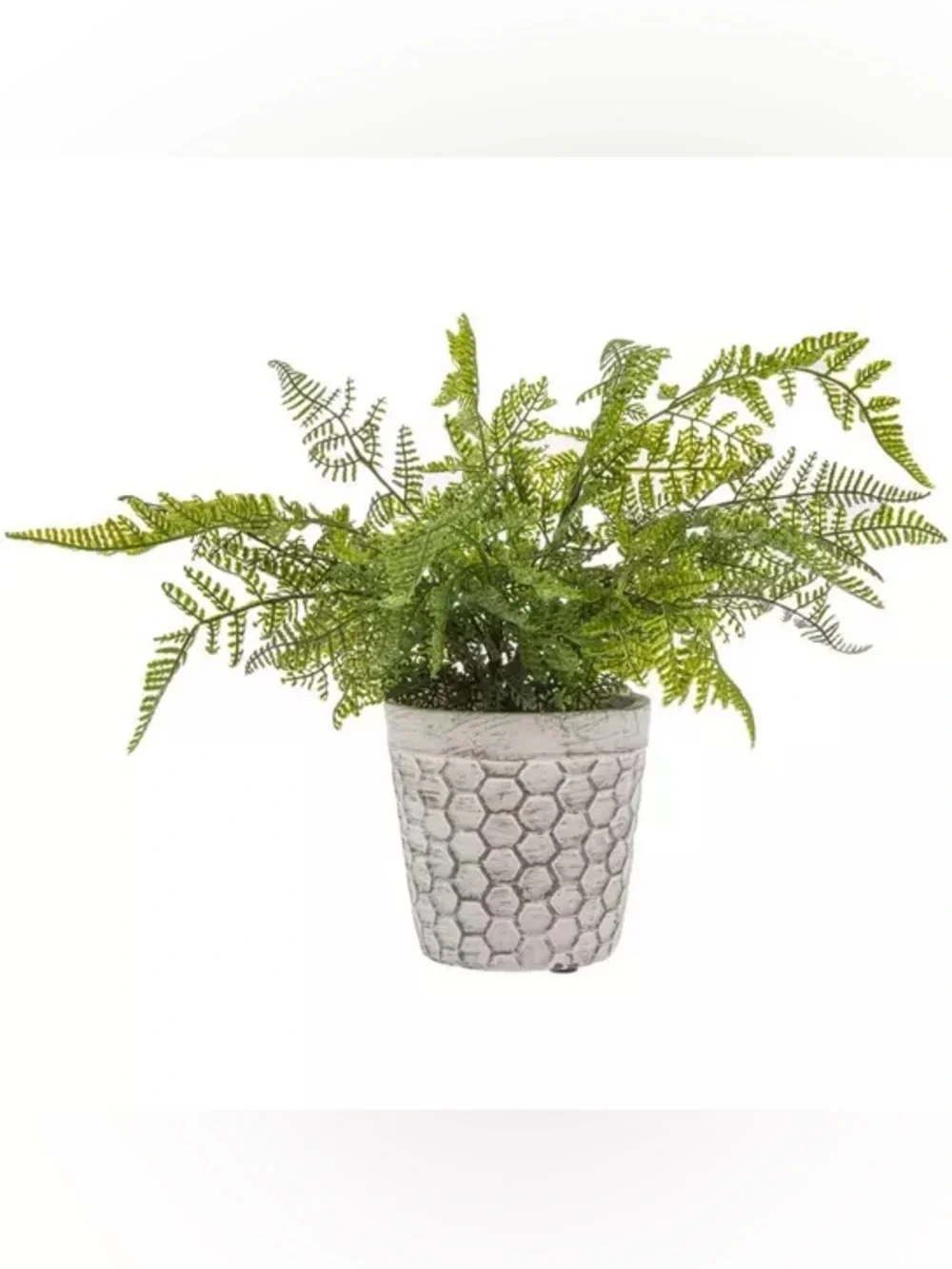 Faux Fern